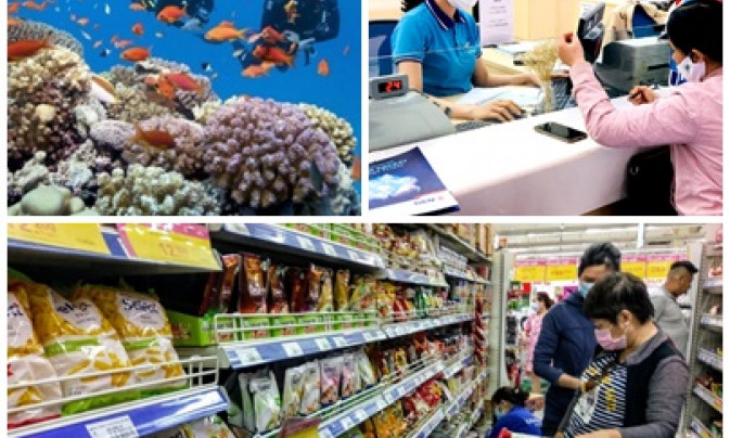 Chỉ đạo, điều hành của Chính phủ, Thủ tướng Chính phủ nổi bật tuần từ 30/10-5/11