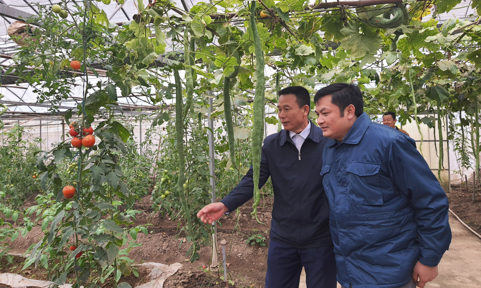 Nâng hàm lượng KHCN trong sản phẩm nông nghiệp vụ đông