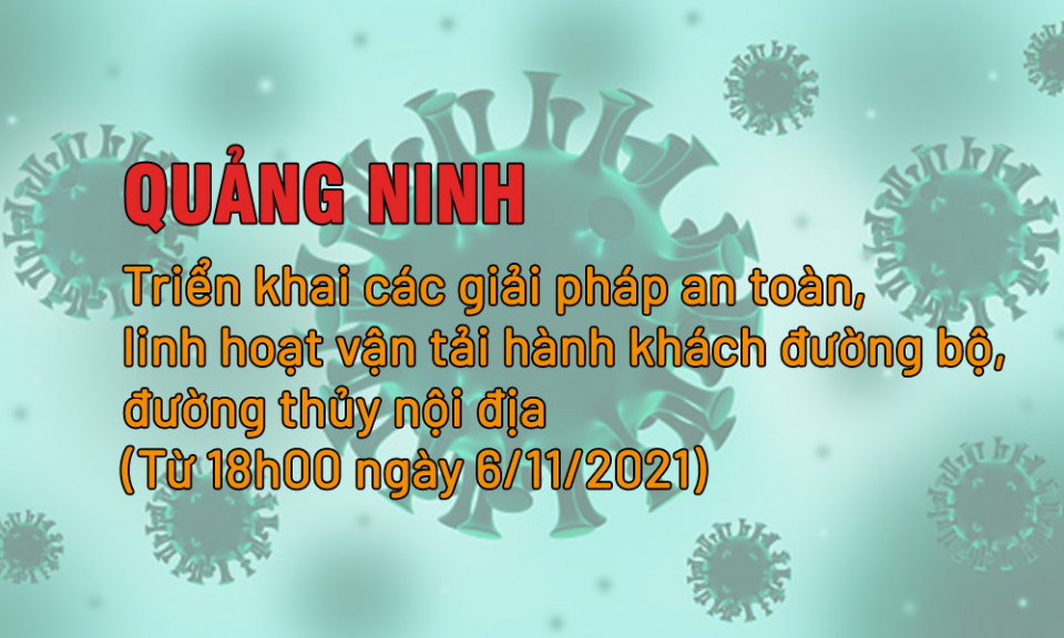 Quảng Ninh: Triển khai các giải pháp an toàn, linh hoạt vận tải hành khách đường bộ, đường thủy nội địa