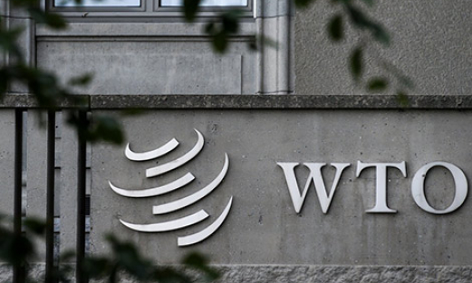 15-year WTO membership: Viet Nam affirms position in international integration
