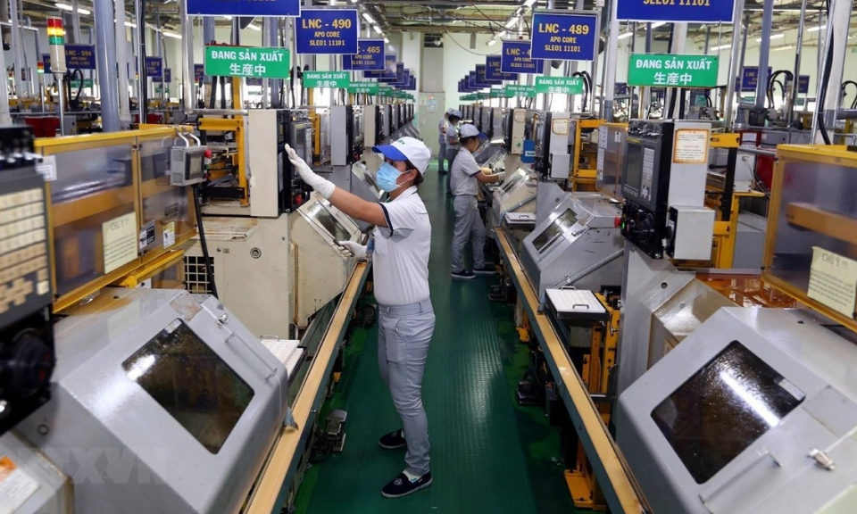 Ho Chi Minh City export businesses gradually return to normal