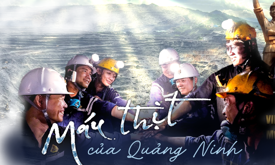 Máu thịt của Quảng Ninh