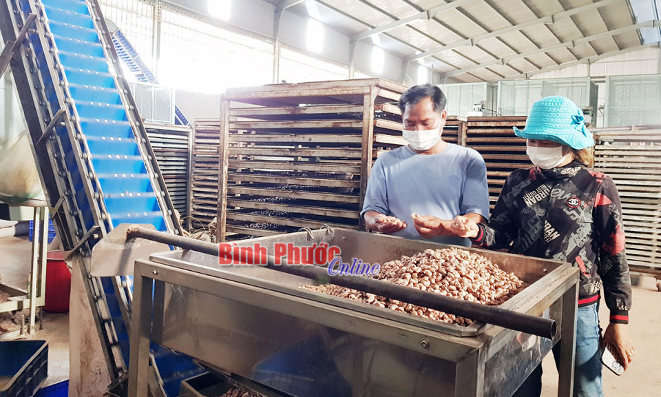 Bình Phước: “Lợi kép” khi doanh nghiệp vượt qua đại dịch