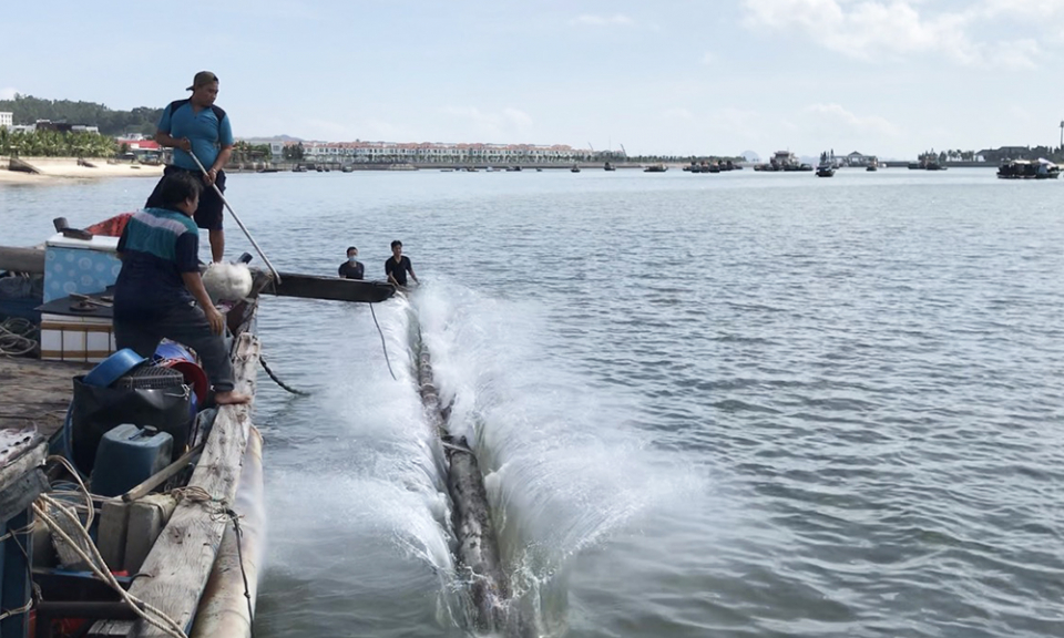 Quảng Ninh nỗ lực gỡ “thẻ vàng” thủy sản