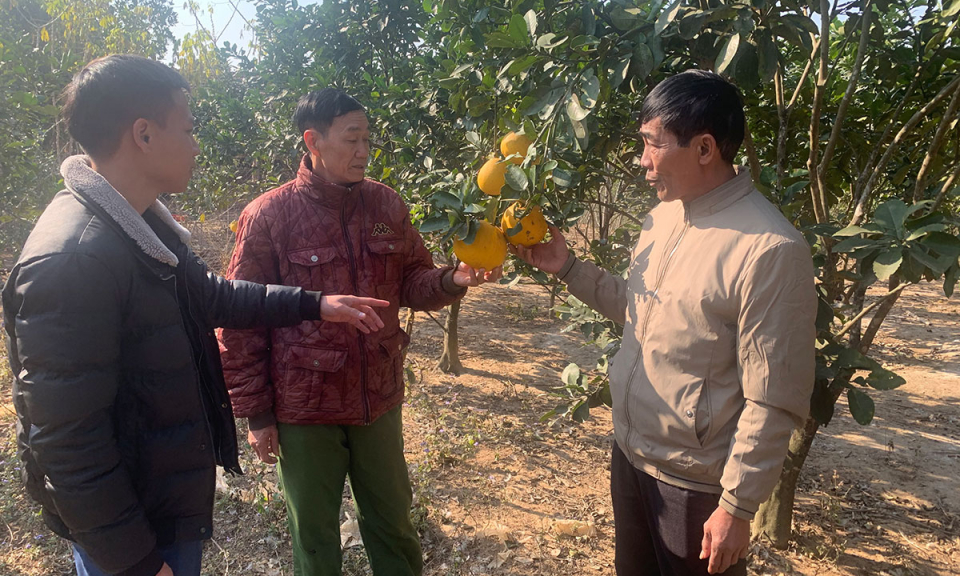 Yên Than xây dựng Nông thôn mới kiểu mẫu