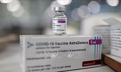 Bộ Y tế tiếp nhận 50.000 liều vaccine phòng COVID-19 do Chính phủ Áo trao tặng