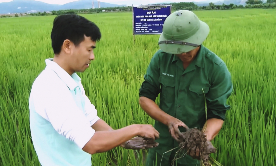 Hiệu quả từ các mô hình khuyến nông