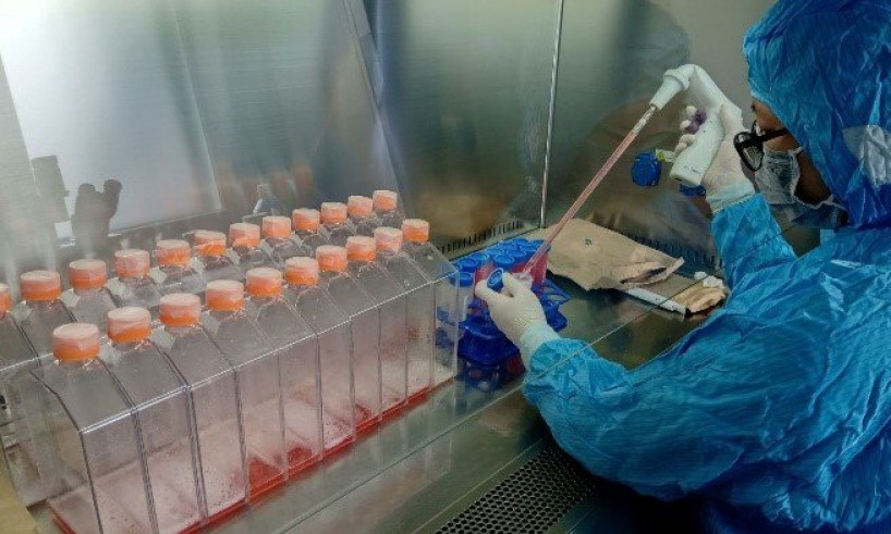 Việt Nam tạo vaccine phòng bốn loại bệnh ở gia cầm