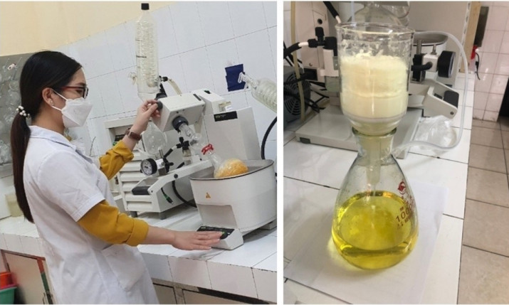Việt Nam tổng hợp thành công hợp chất sản xuất thuốc chữa COVID-19 giá rẻ