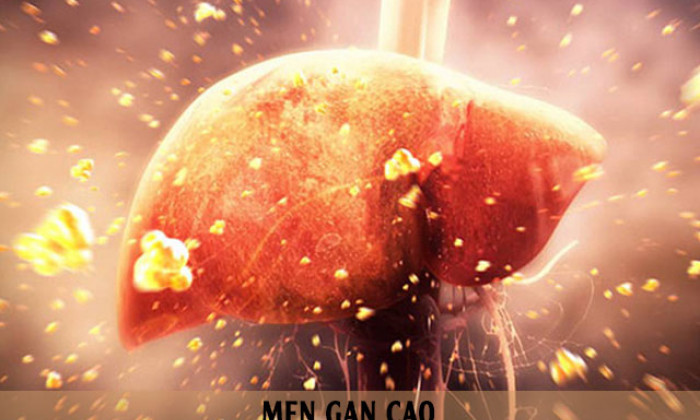Men gan cao có nguy hiểm không? Nguyên nhân nào khiến men gan cao?