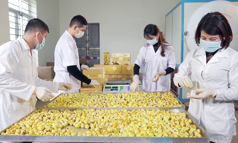 Hải Hà: Nỗ lực hoàn thành các chỉ tiêu 