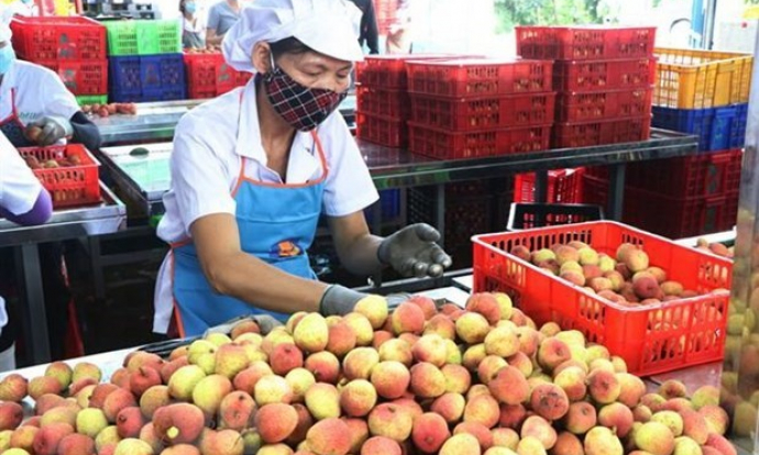 ASEAN market boasts opportunities for Vietnamese firms: official