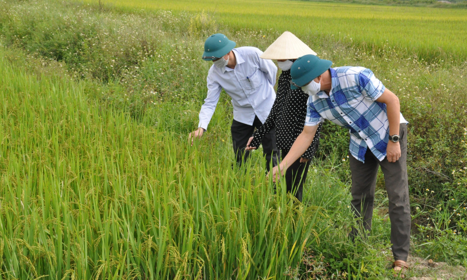 Huy động sức dân trong xây dựng nông thôn mới 