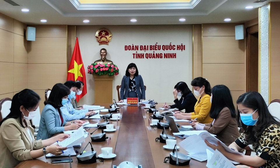 Đoàn ĐBQH tỉnh họp triển khai chương trình giám sát