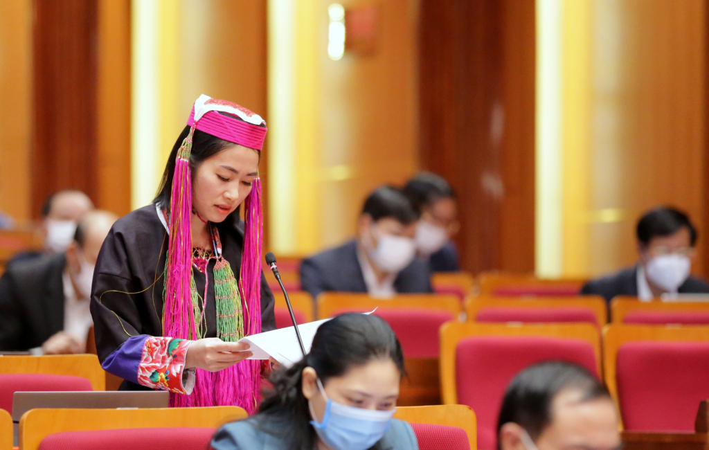 Đại biểu Lý Thị Mỳ, Tổ đại biểu HĐND tại huyện Ba Chẽ.