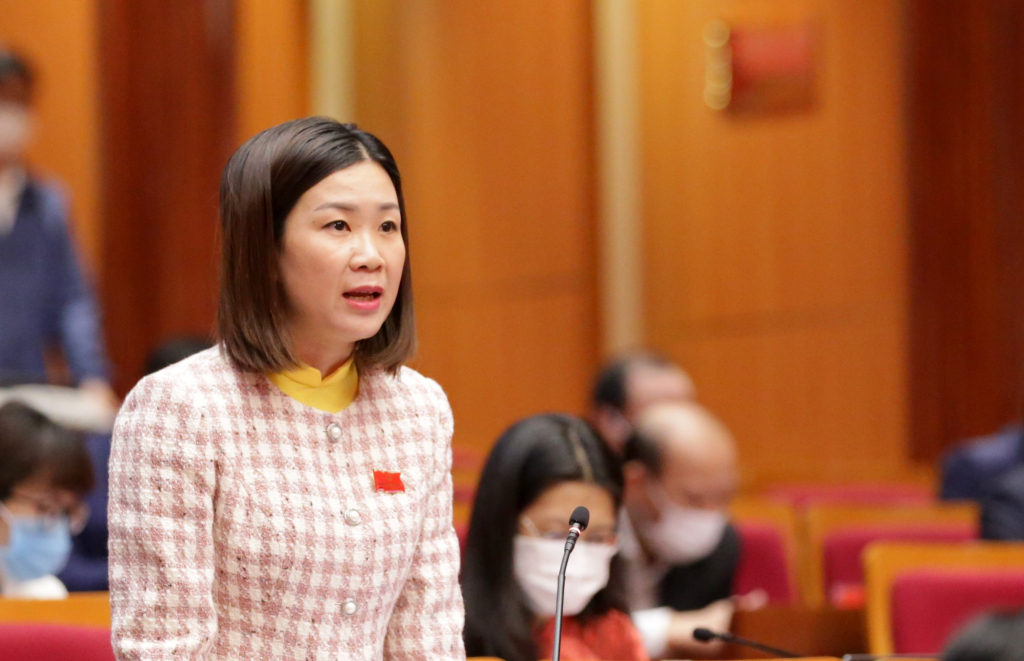 Đại biểu La Thị Thủy, Tổ đại biểu huyện Tiên Yên.