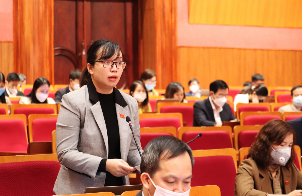 Đại biểu Nguyễn Thị Hồng Quyên, Tổ đại biểu TP Cẩm Phả.