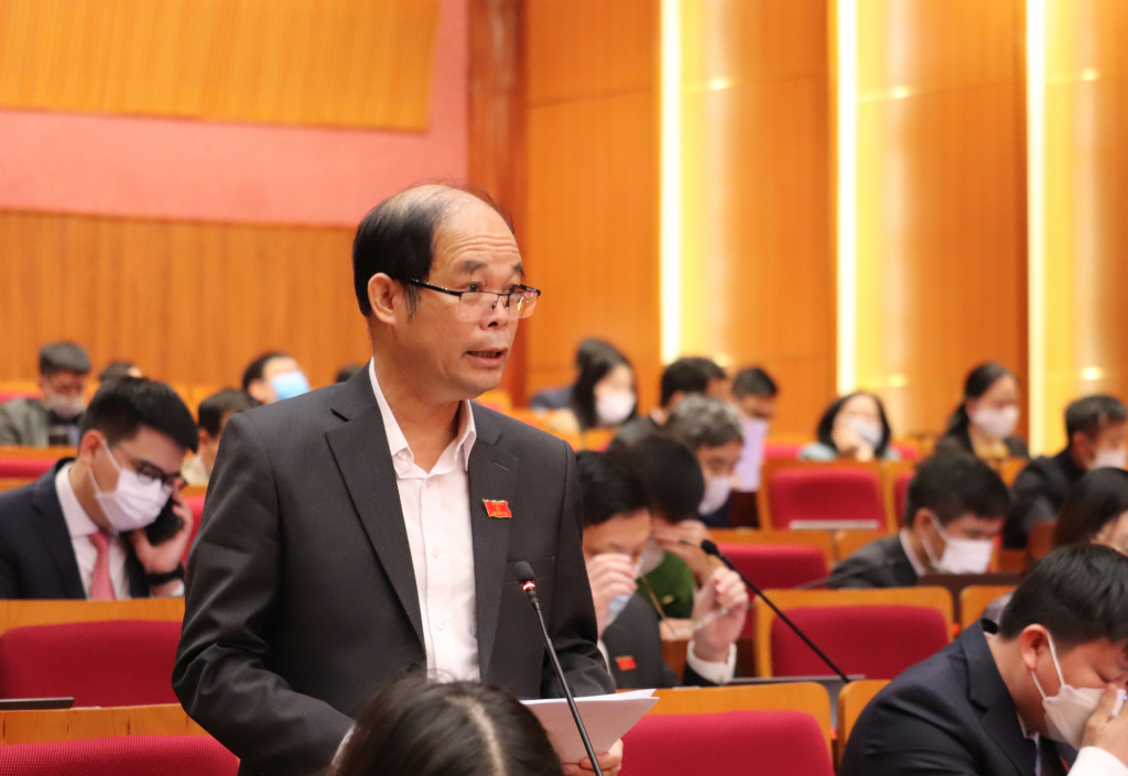 Đại biểu Lưu Văn Thường, Tổ đại biểu huyện Hải Hà.