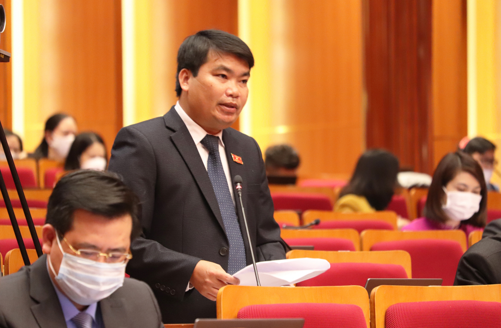 Đại biểu Đinh Trung Kiên, Tổ đại biểu Vân Đồn-Cô Tô