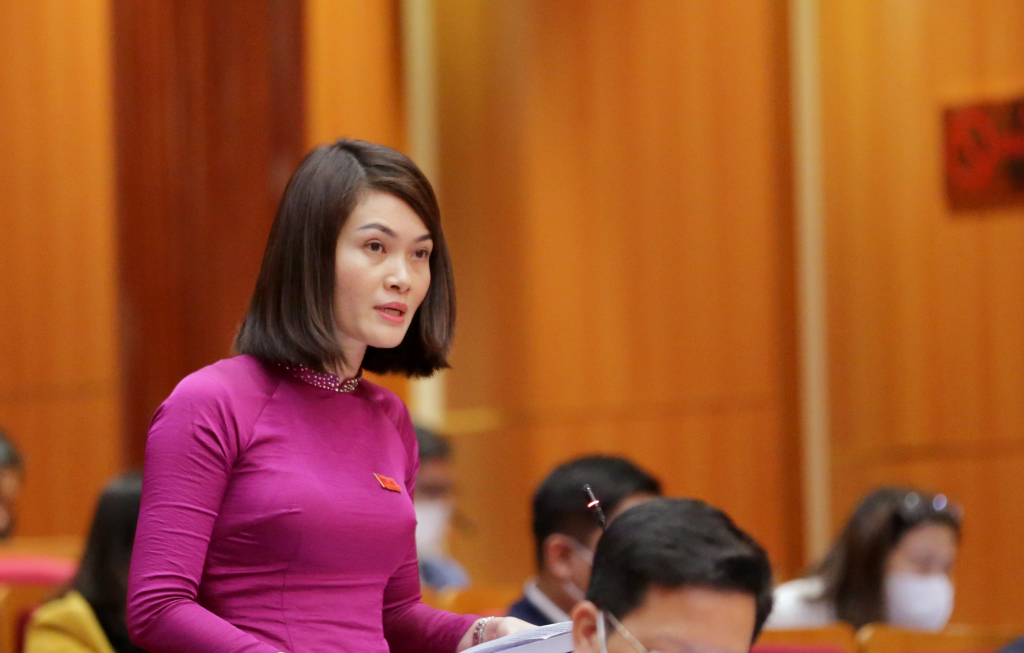 Đại biểu Nguyễn Thị Thúy Hằng, Tổ đại biểu TP Hạ Long.