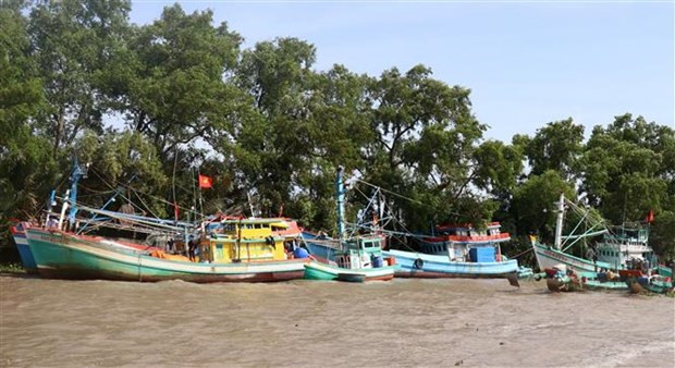 Bac Bo mua nho rai rac, tu Quang Ninh den Ca Mau co gio manh tren bien hinh anh 2