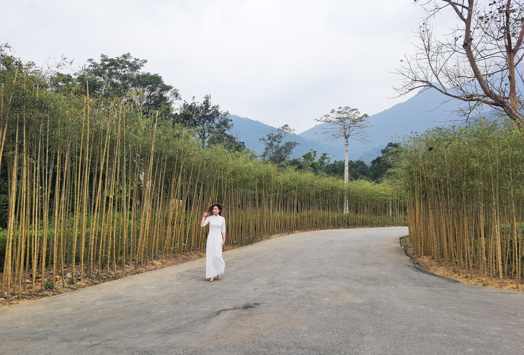 Không gian Yên Tử linh thiêng, ẩn chứa bao giá trị chưa được khám phá.