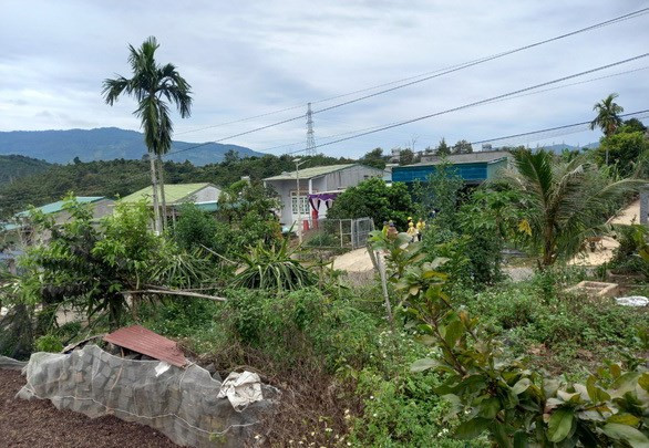 Lam Dong: Bat giu khan cap nghi pham la chong sat hai vo hinh anh 1