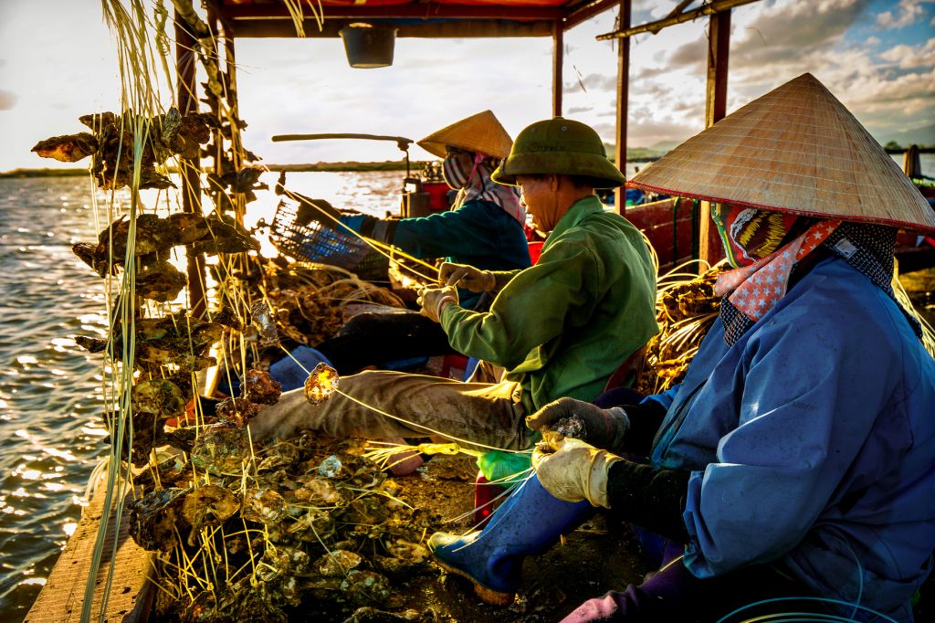 Xâu con giống.