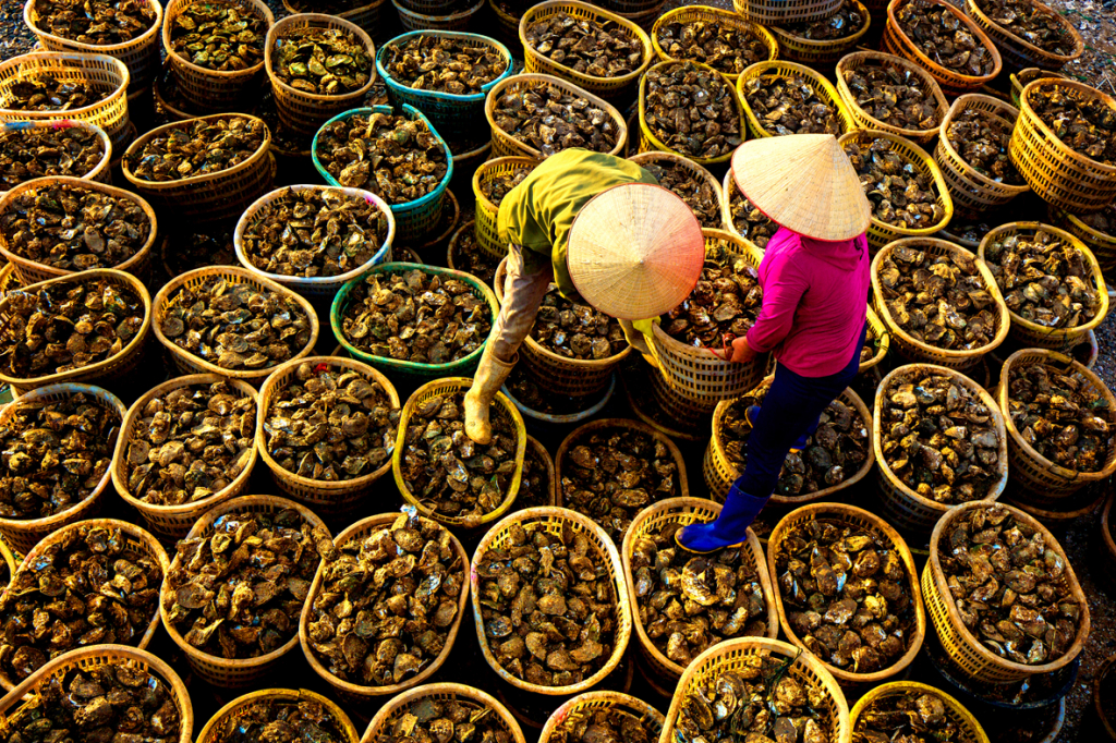 Tuyển chọn sản phẩm.