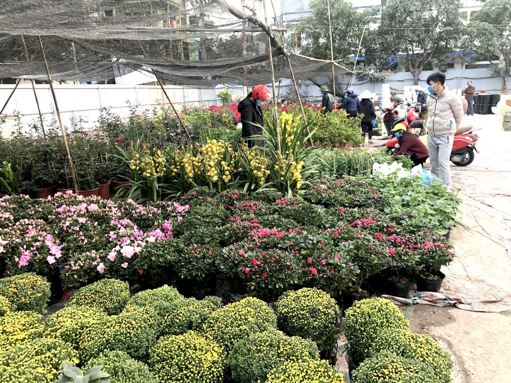 Các địa phương trong cả nước đang xây dựng kịch bản phòng, chống dịch Covid-19 dịp tết để người dân vui xuân an toàn.