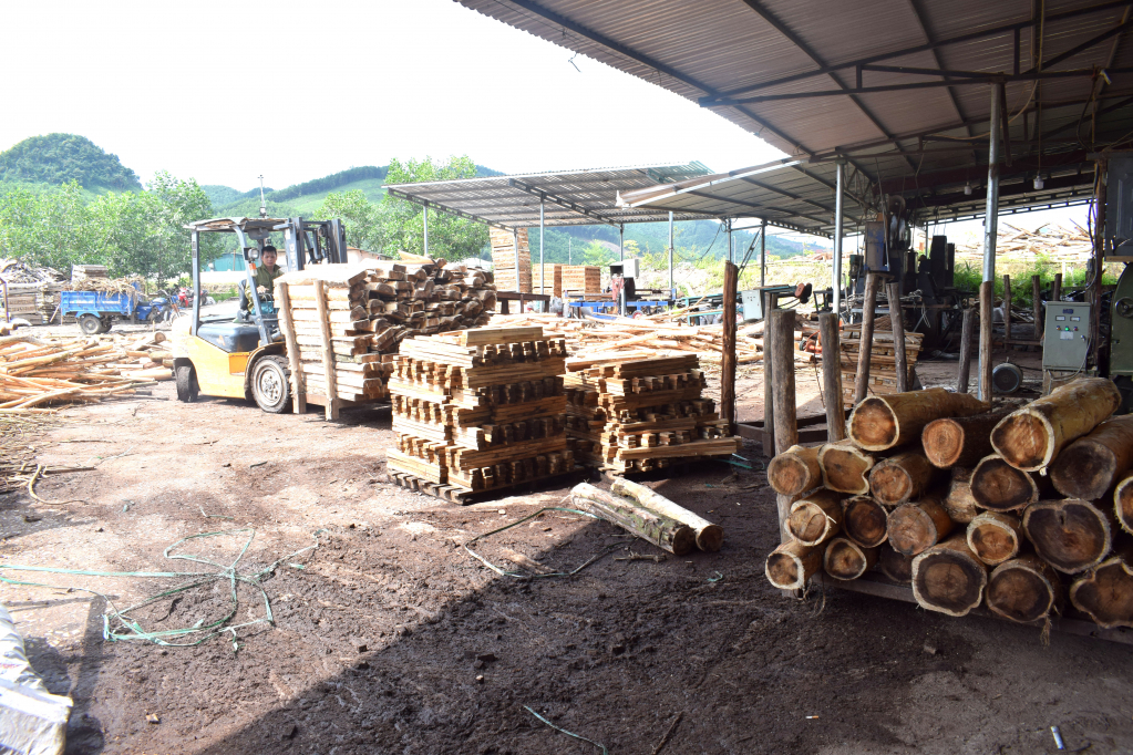 Công ty CP Trường Sơn 36 (CCN Nam Sơn) hàng năm chế biến hơn 36.000 tấn gỗ keo lớn, giúp người trồng rừng Ba Chẽ có địa chỉ tiêu thụ lớn tại địa phương