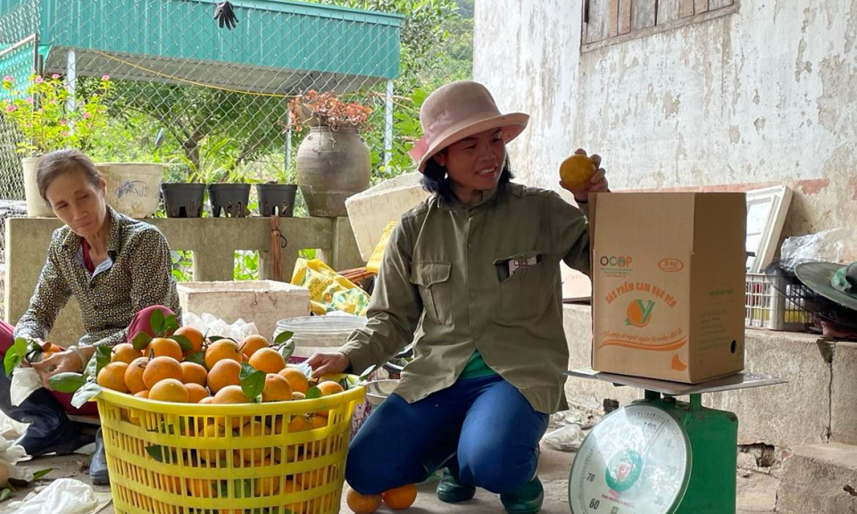 Vân Đồn: Xây dựng nông thôn mới bền vững