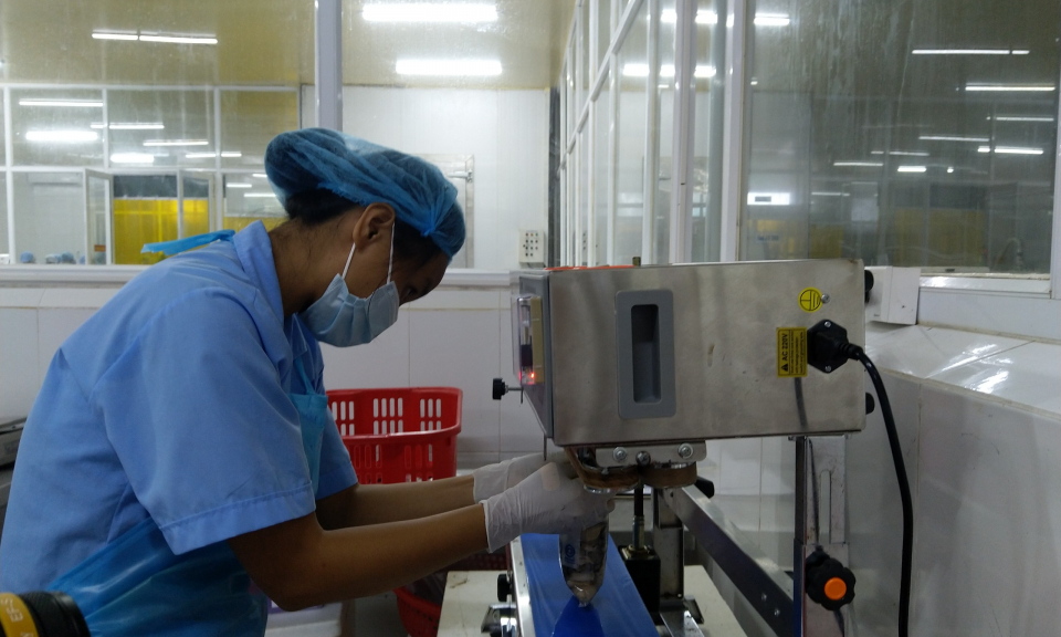 Nâng tầm sản phẩm OCOP từ ứng dụng KH&CN