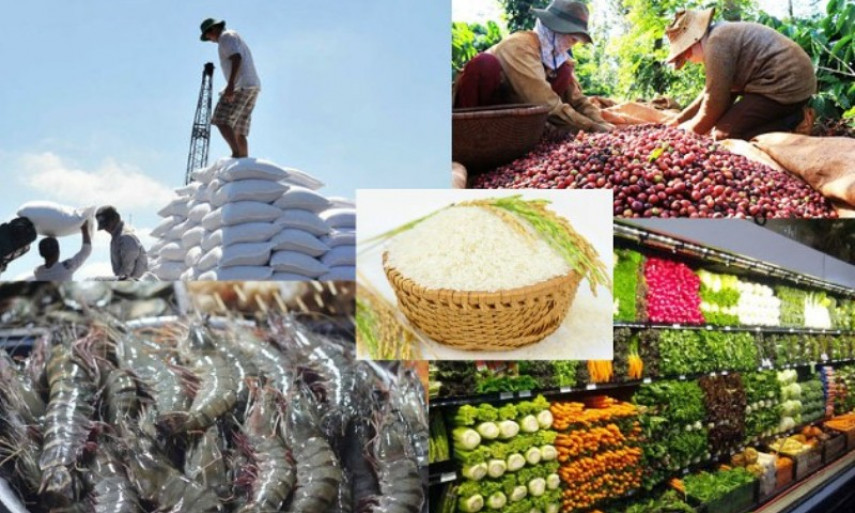 Thay đổi nhận thức, nâng cao chất lượng nông sản Việt