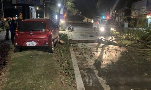 Ô tô mất lái đâm vào cây trên vỉa hè, tài xế tử vong tại chỗ