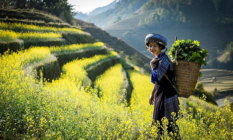 Phát triển du lịch theo hướng tăng trưởng xanh