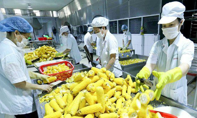Xuất khẩu nông sản tăng vọt
