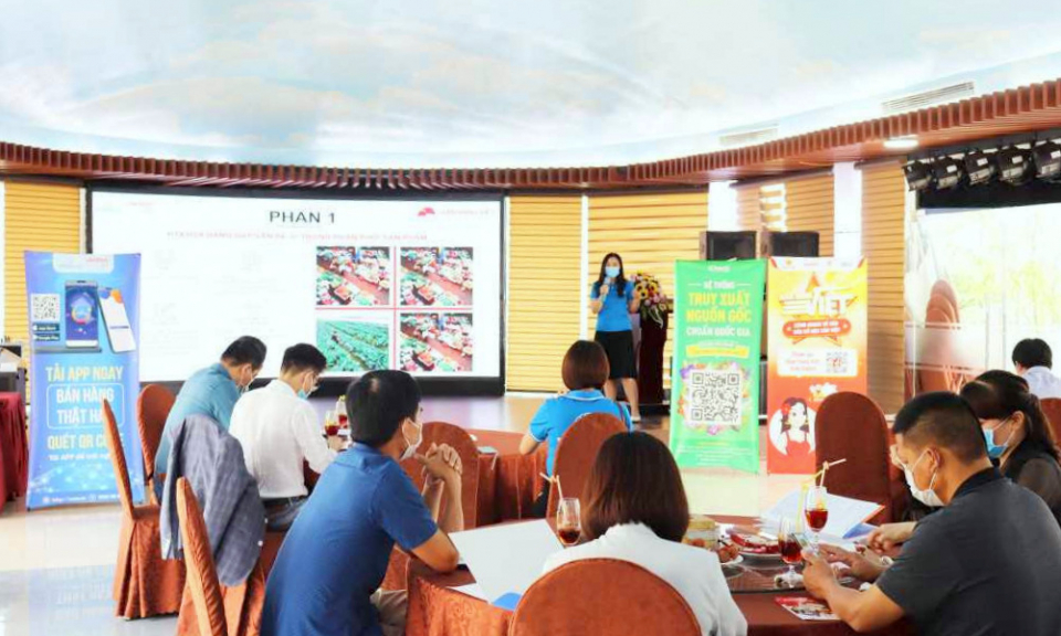 Xây dựng nền tảng để thương mại điện tử phát triển