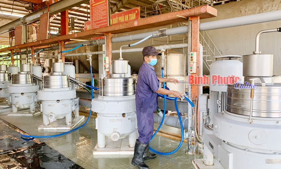 Bài cuối: Xu thế tất yếu trong hội nhập