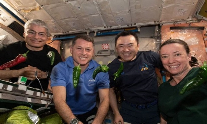 Ớt vũ trụ của NASA lập hai kỷ lục mới