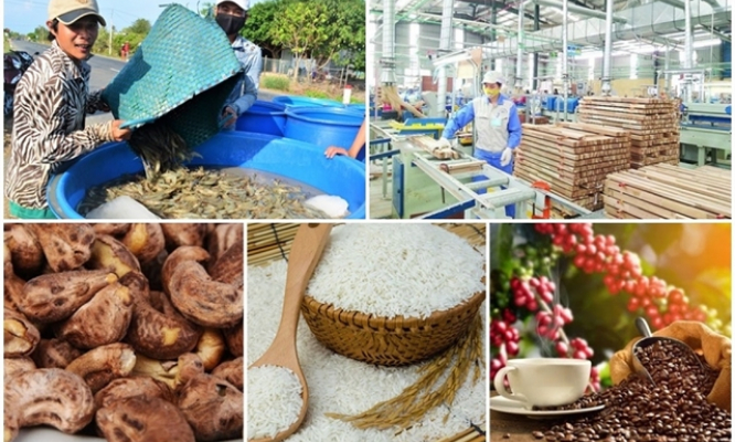 Agricultural, forestry and fishery exports reach new high amid pandemic