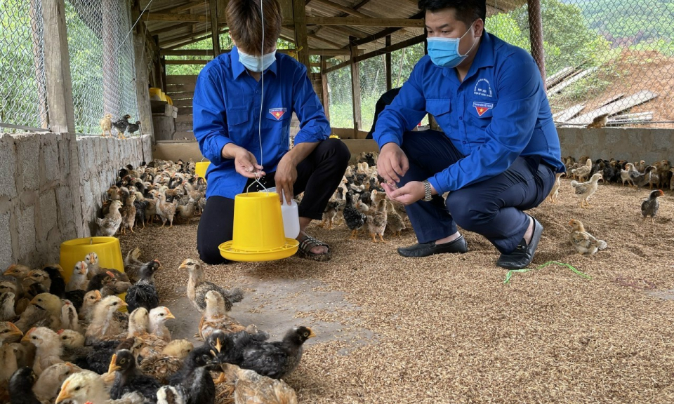 Xây dựng các mô hình kinh tế trong thanh niên