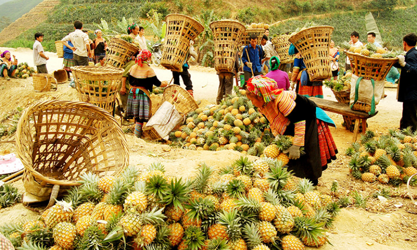 Chủ động, sáng tạo thực hiện “mục tiêu kép”