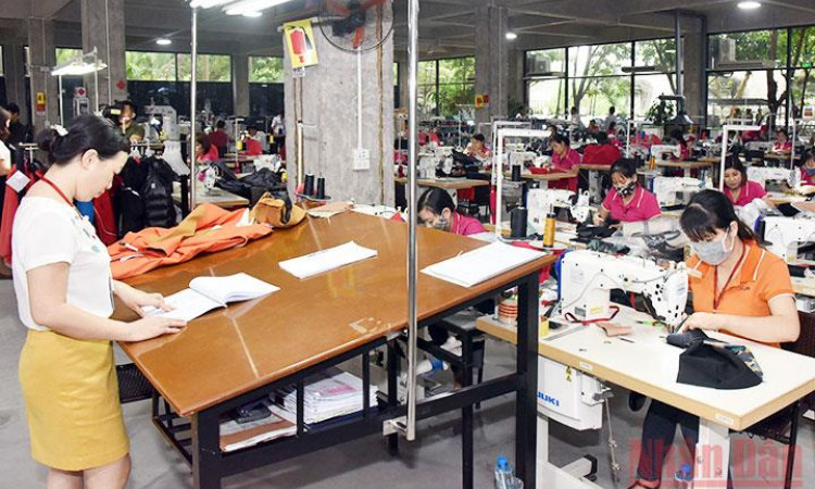 WB: Tình hình kinh tế Việt Nam tiếp tục được cải thiện