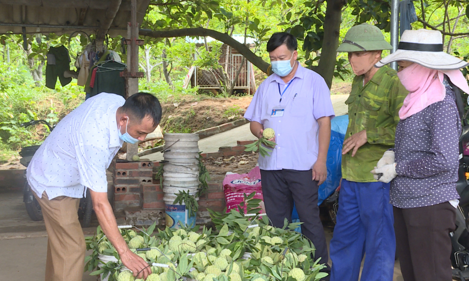 Đổi mới tư duy trong chuyển dịch cơ cấu kinh tế