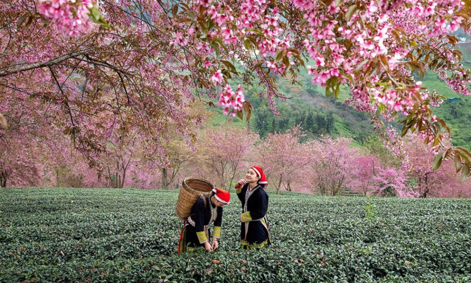5 lý do không thể bỏ lỡ mùa đông này ở Fansipan