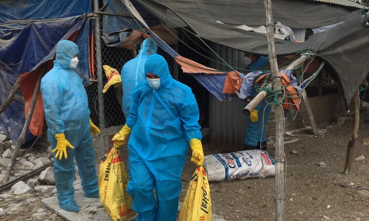 Hải Hà xuất hiện thêm ổ dịch cúm gia cầm H5N8