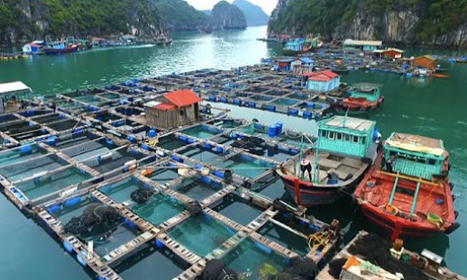 Phí thẩm định kinh doanh có điều kiện thuộc lĩnh vực thủy sản 5,7 triệu đồng/lần