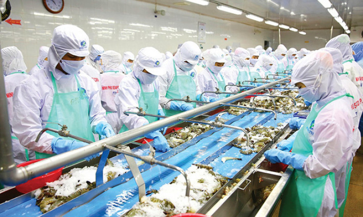 Xuất khẩu tôm hướng tới hơn 4 tỷ USD năm 2022