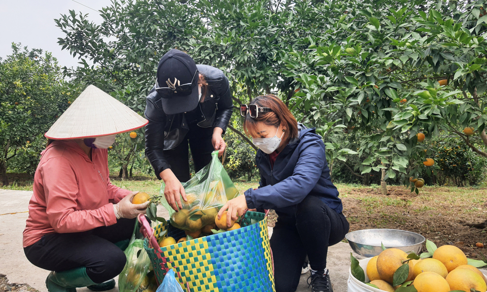 Đưa nông sản sạch đến bếp ăn